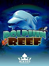dolphin-reef