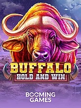 Buffalo Hold and Win