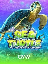 sea-turtle