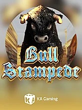 bull-stampede