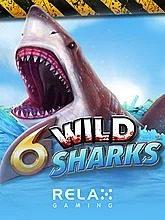 6 Wild Sharks